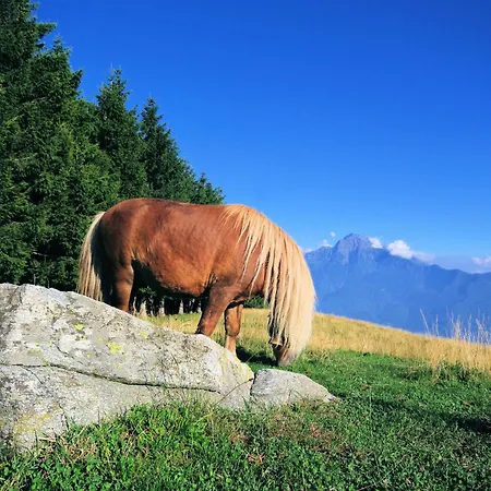 Le Baite Di Bodone - Bodone Paradise * Livo (Lombardy)